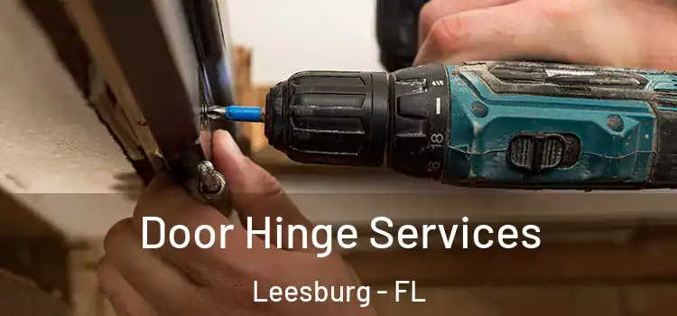 Door Hinge Services Leesburg - FL