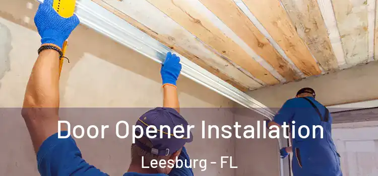 Door Opener Installation Leesburg - FL