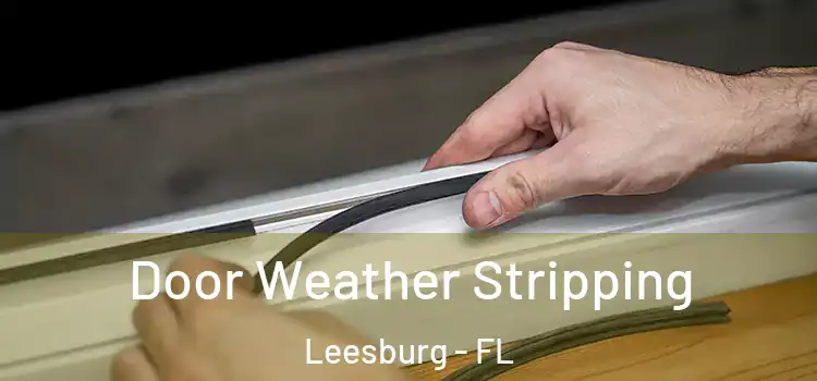 Door Weather Stripping Leesburg - FL