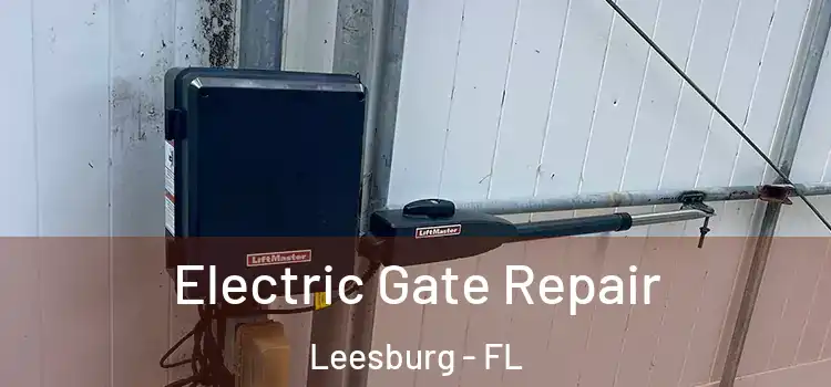 Electric Gate Repair Leesburg - FL