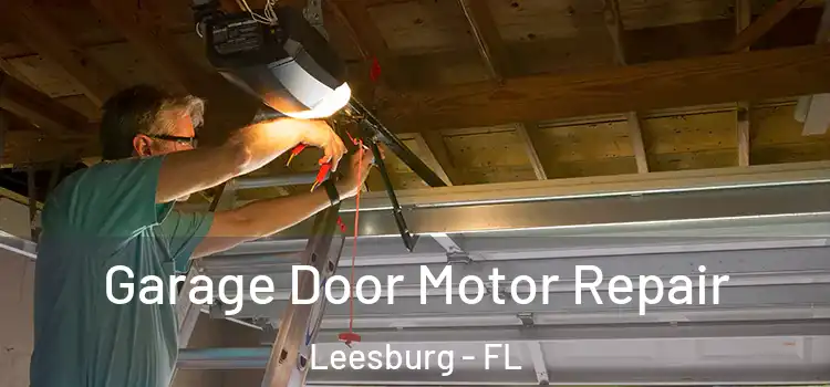  Garage Door Motor Repair Leesburg - FL