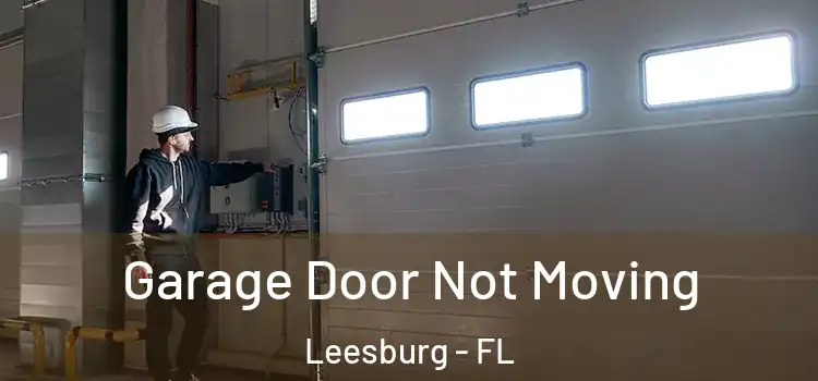  Garage Door Not Moving Leesburg - FL