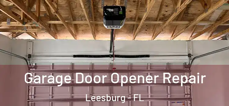  Garage Door Opener Repair Leesburg - FL