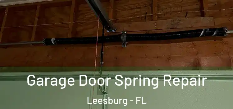  Garage Door Spring Repair Leesburg - FL