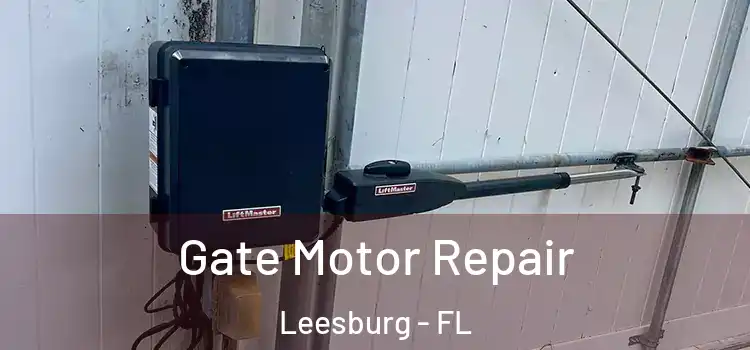 Gate Motor Repair Leesburg - FL