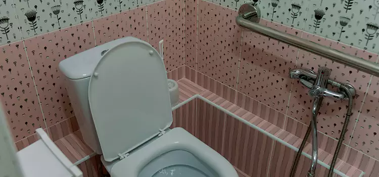 Meeting Diverse Needs With Accessible Restroom Solutions in Leesburg, FL
