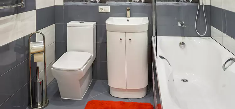 Hansgrohe Shaving Mirror Leesburg