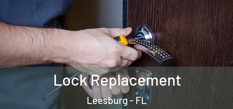 Lock Replacement Leesburg - FL