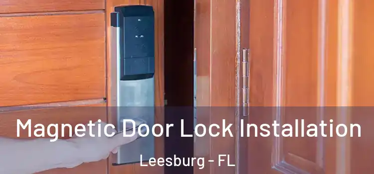  Magnetic Door Lock Installation Leesburg - FL