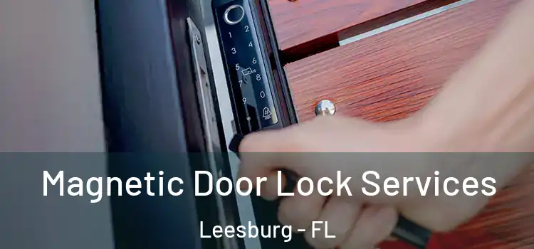  Magnetic Door Lock Services Leesburg - FL