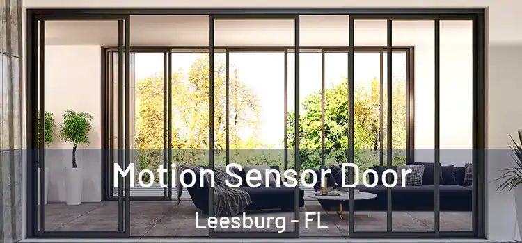 Motion Sensor Door Leesburg - FL